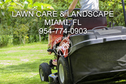 Miami Landscaping Companies - We are not all the same