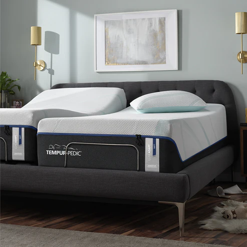 Experience Ultimate Relaxation with TEMPUR-PEDIC LUXE ADAPT SOFT