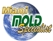Mold Inspection & Removal